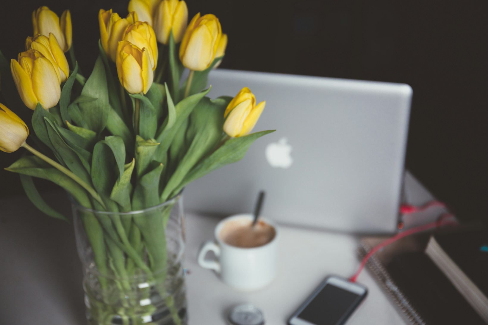 „Die Zukunft des Influencer-Marketings: Neue Trends und Strategien“