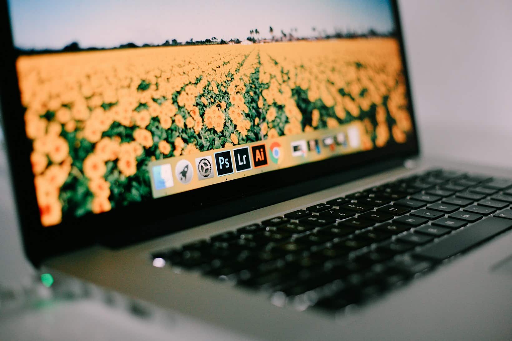 Die Zukunft des Social-Media-Marketings: Chancen und Herausforderungen