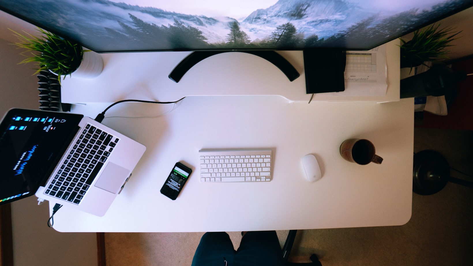 „Die Zukunft des Influencer-Marketings: Neue Trends und Strategien“
